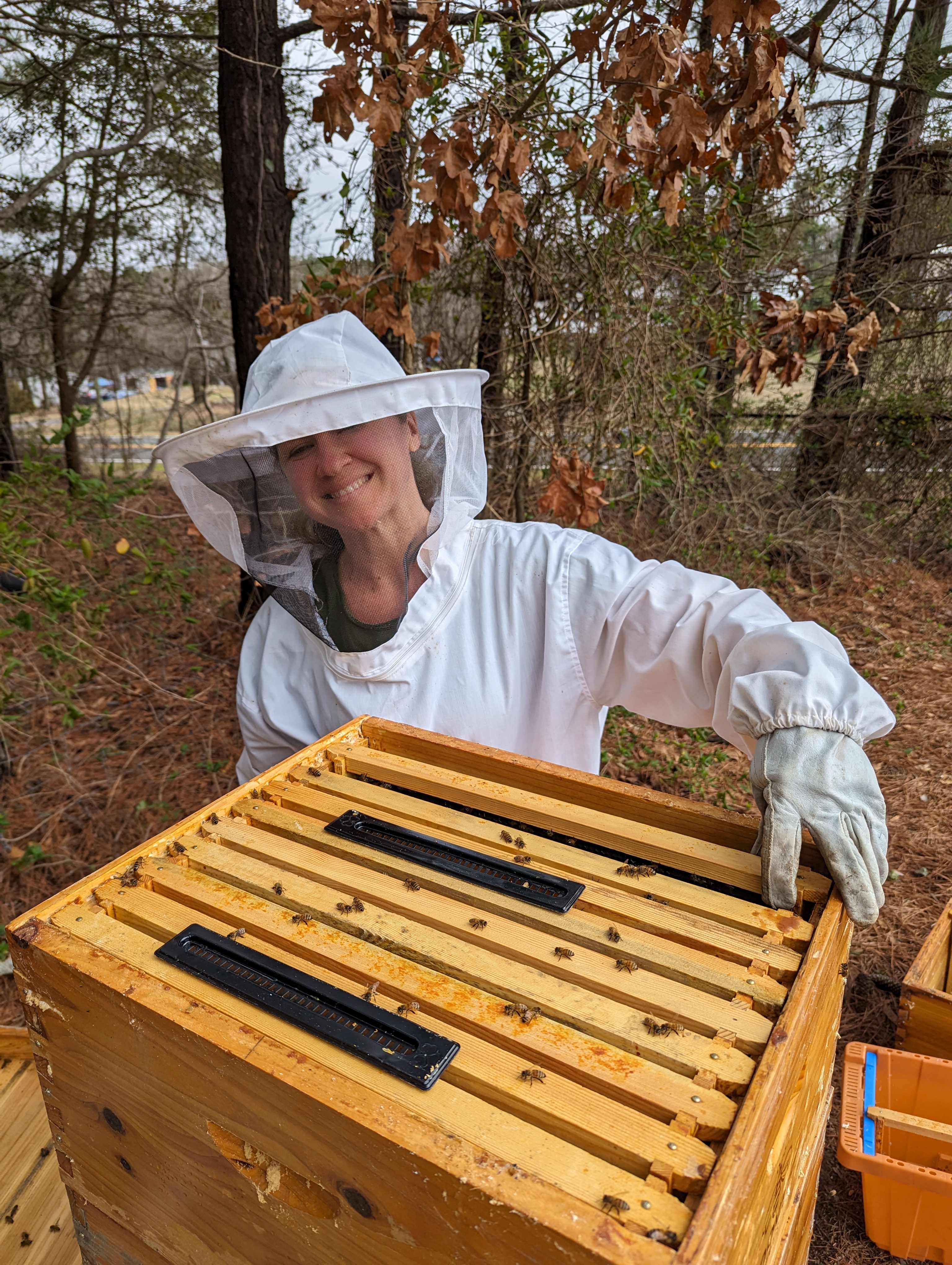 Beehive Update